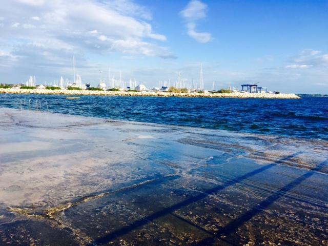 Apartment Umag Nelly Esterno foto